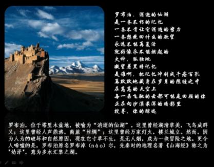 救援白色小猫