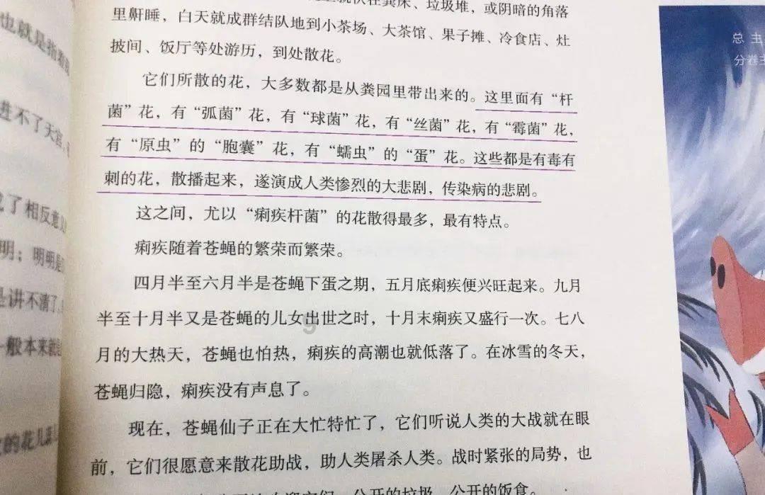 可爱小猫的发廊