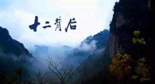这个菜,从年头吃到年尾,最贵的时候也不过两三块钱一斤,真不错