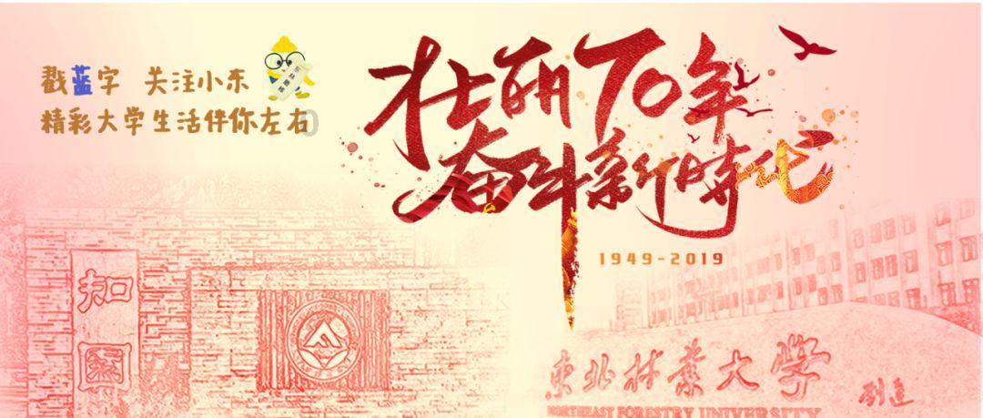 解救金刚鹦鹉