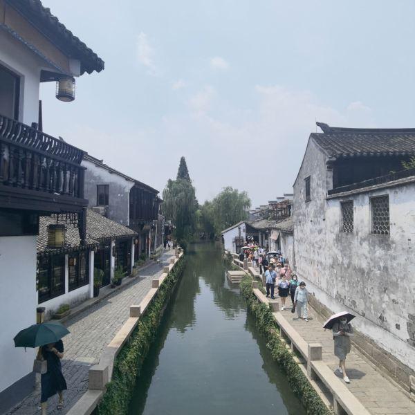 救援受困的鹭