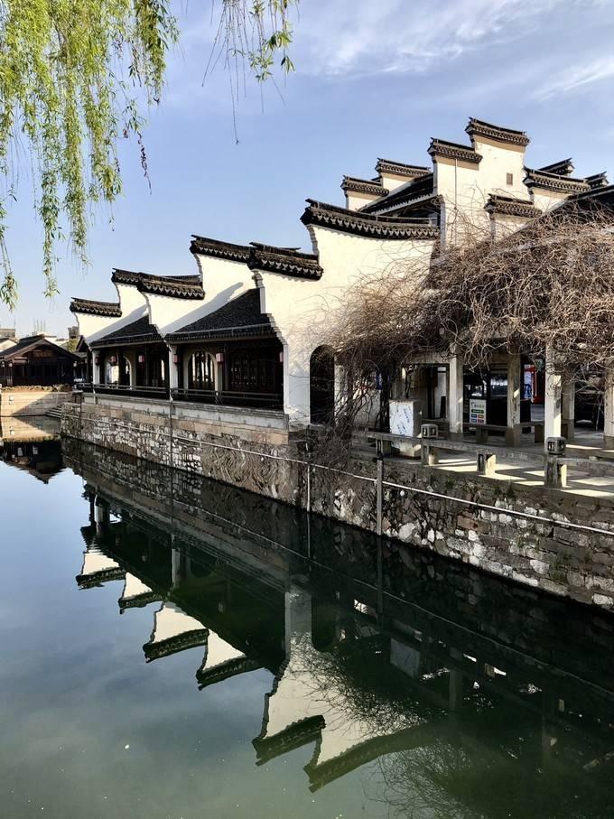 优雅的精灵